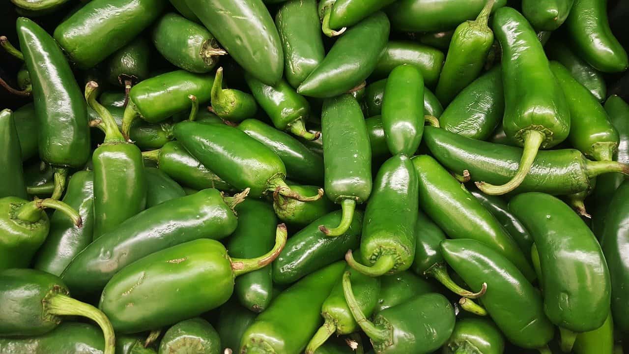 green jalapenos