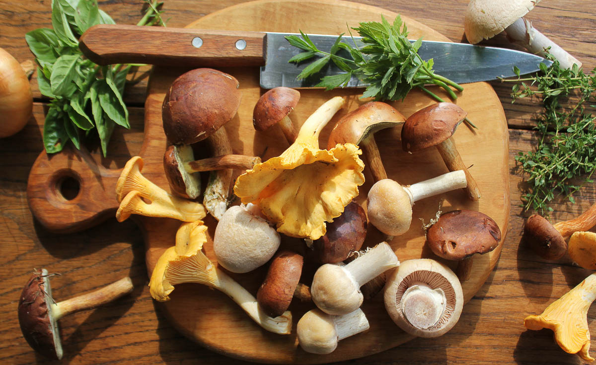 Mix of forest mushrooms on cutting board over old wooden table.