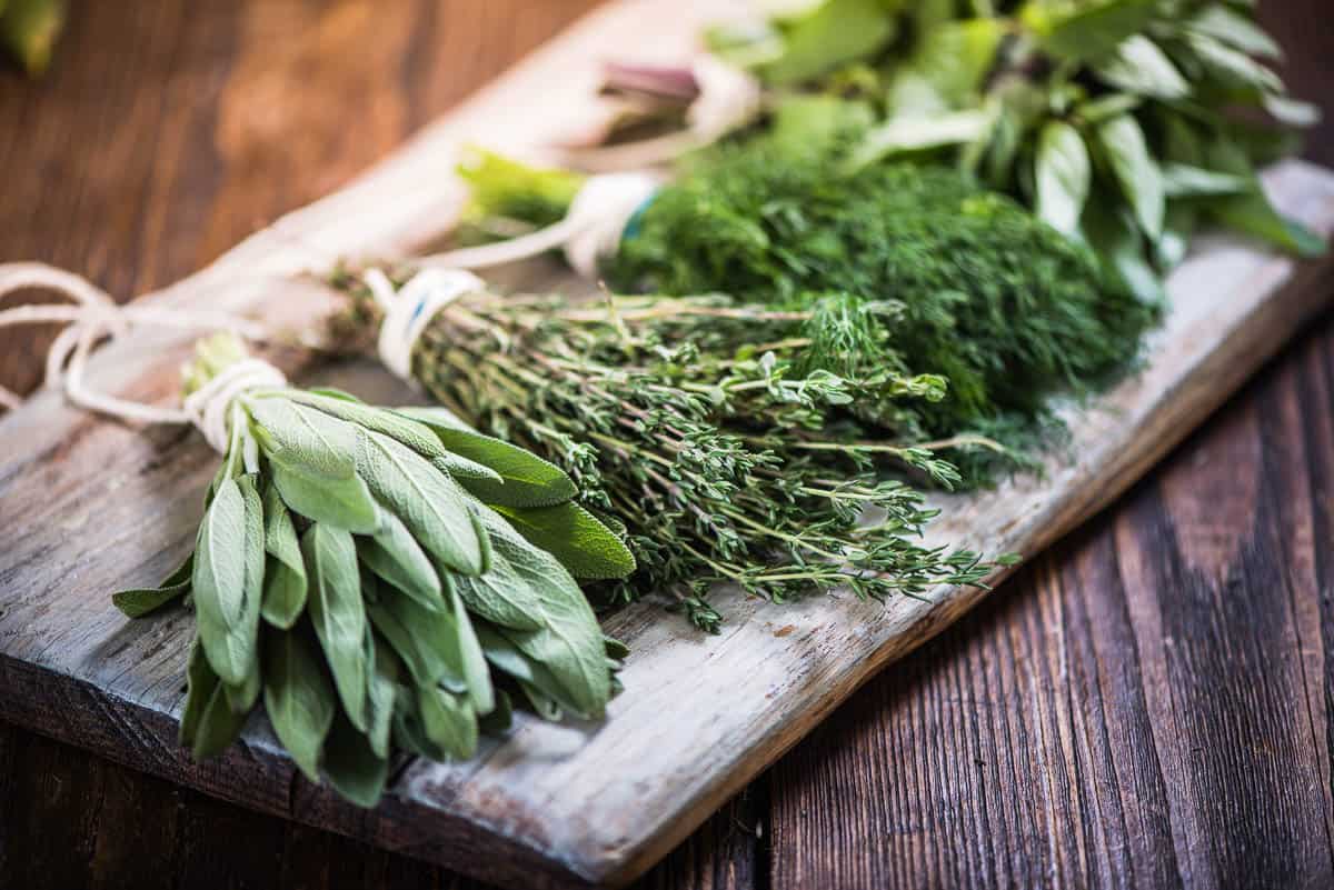 Basil, sage, dill, and thyme herbs on wooden board.