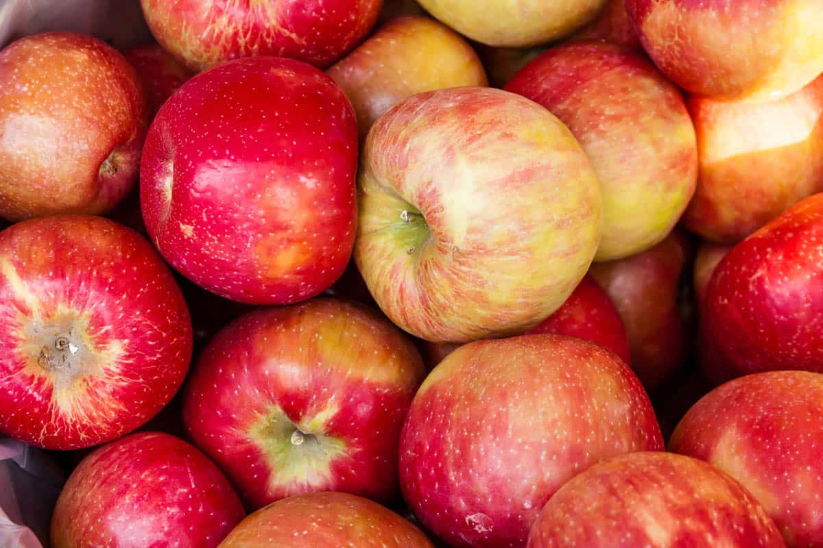 Large box full of fresh organic red apples on display at local farmers market.