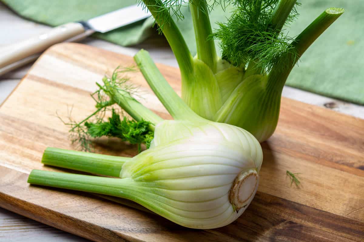 raw fresh florence fennel bulbs close up.