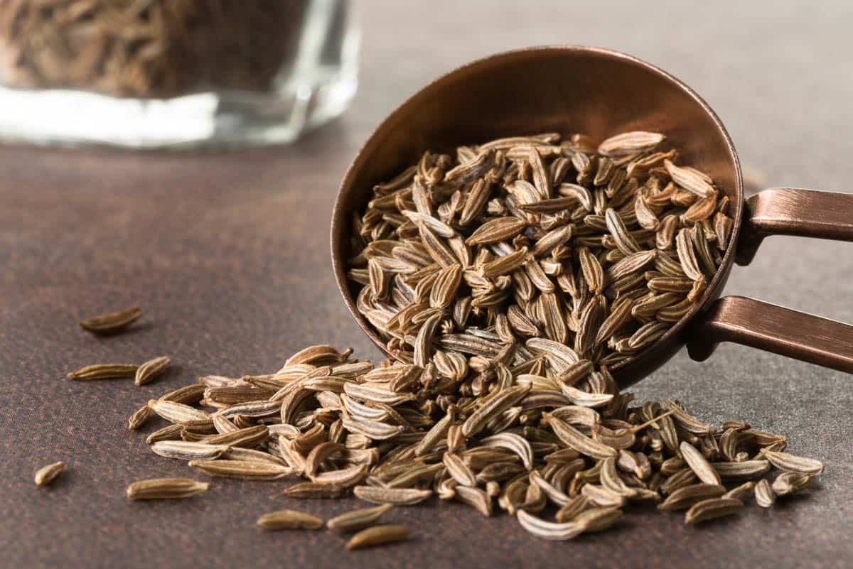 Caraway Seeds Spilled from a Teaspoon.