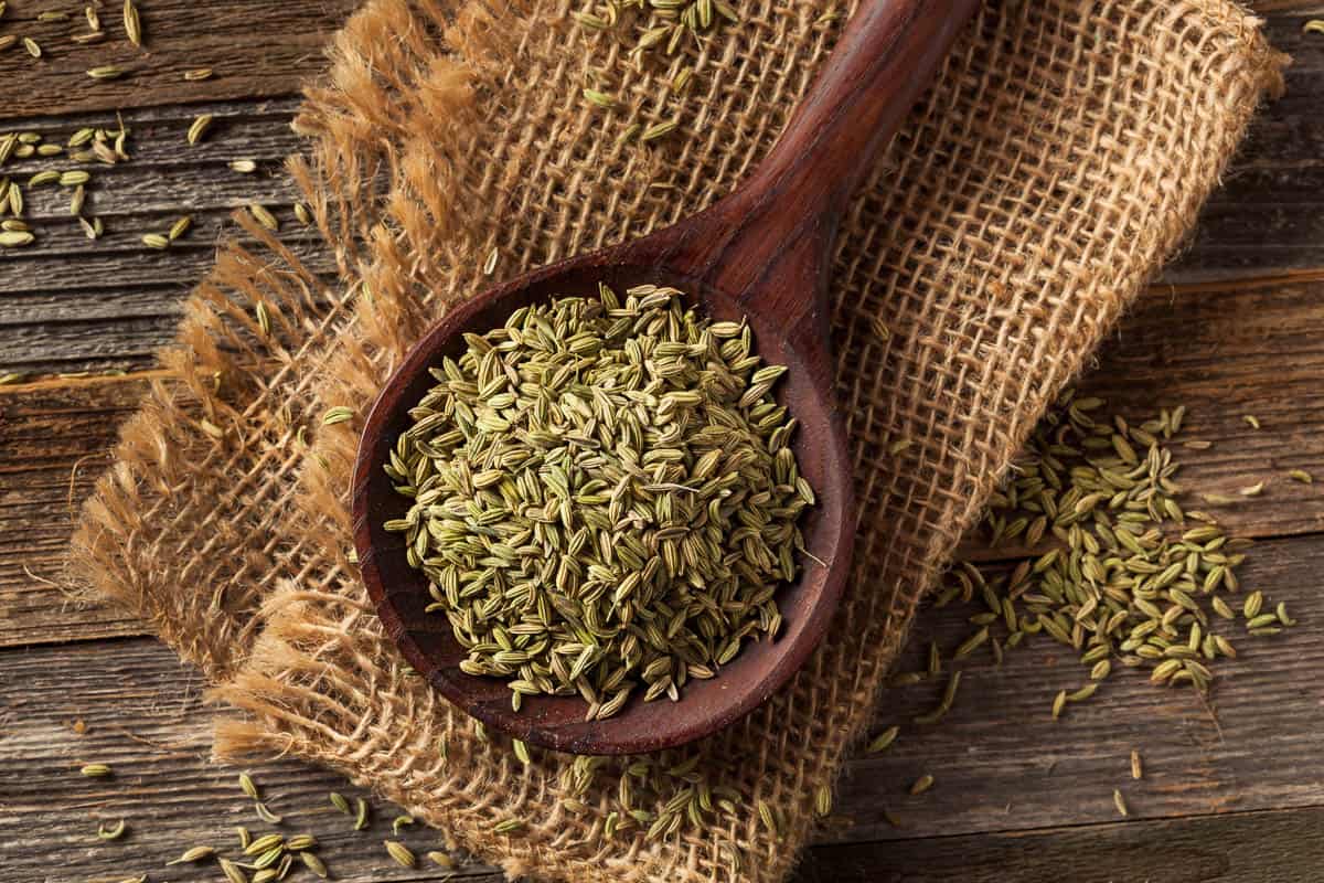 raw organic fennel Seed Ready to Use.