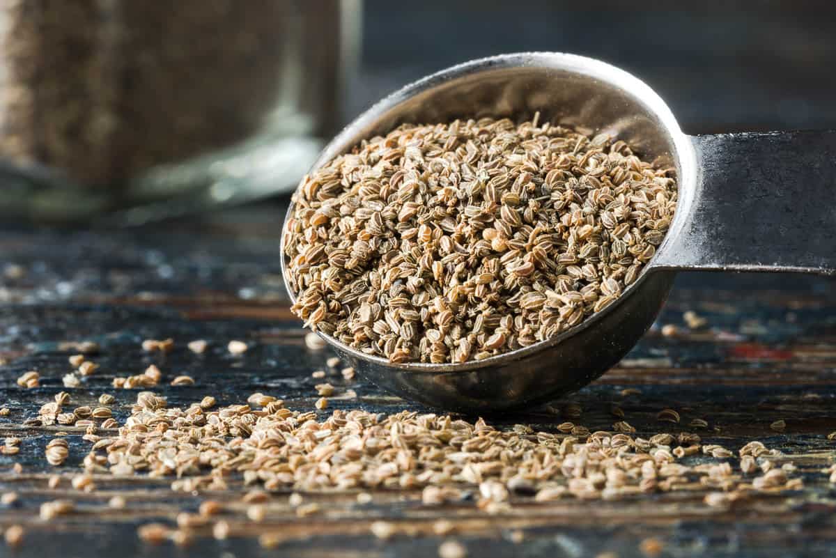 Celery Seeds Spilled from a Teaspoon.