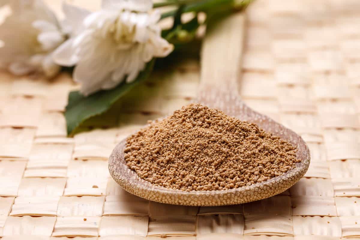 Raw Sucanat sugar displayed on a wooden spoon.