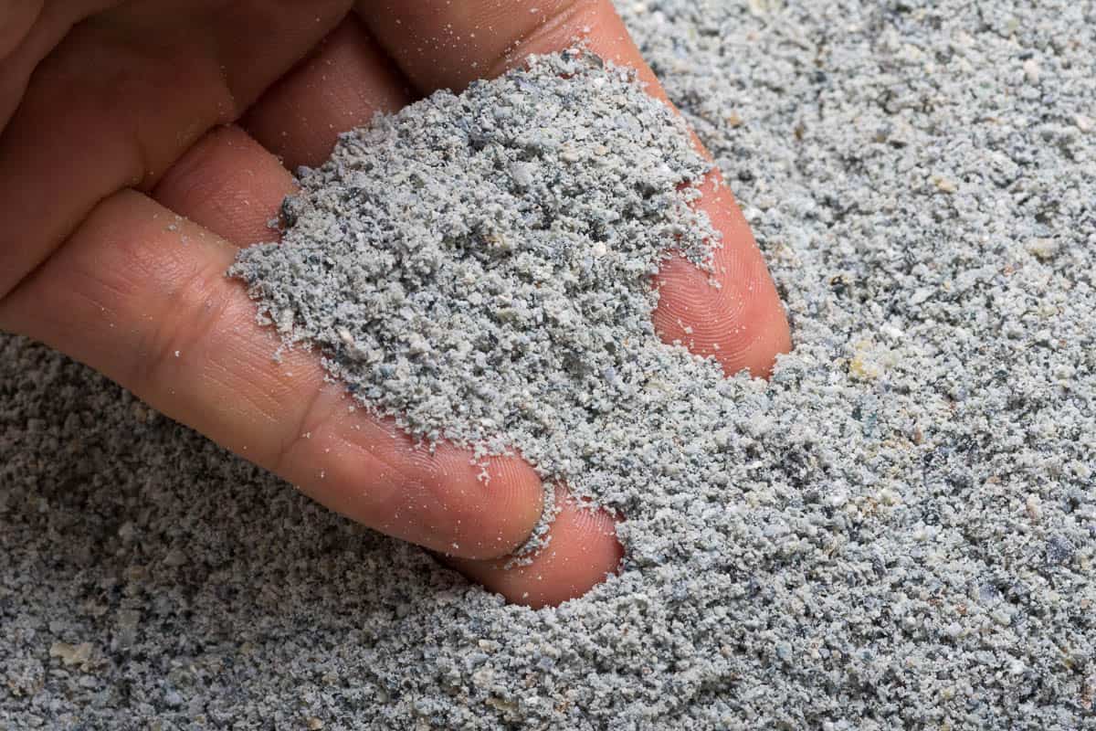 Closeup hand scooping pile of fresh ground blue corn meal.