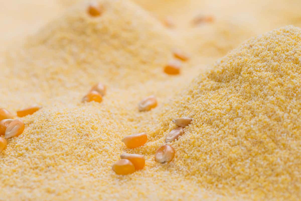 Cornmeal Background close-up shot.