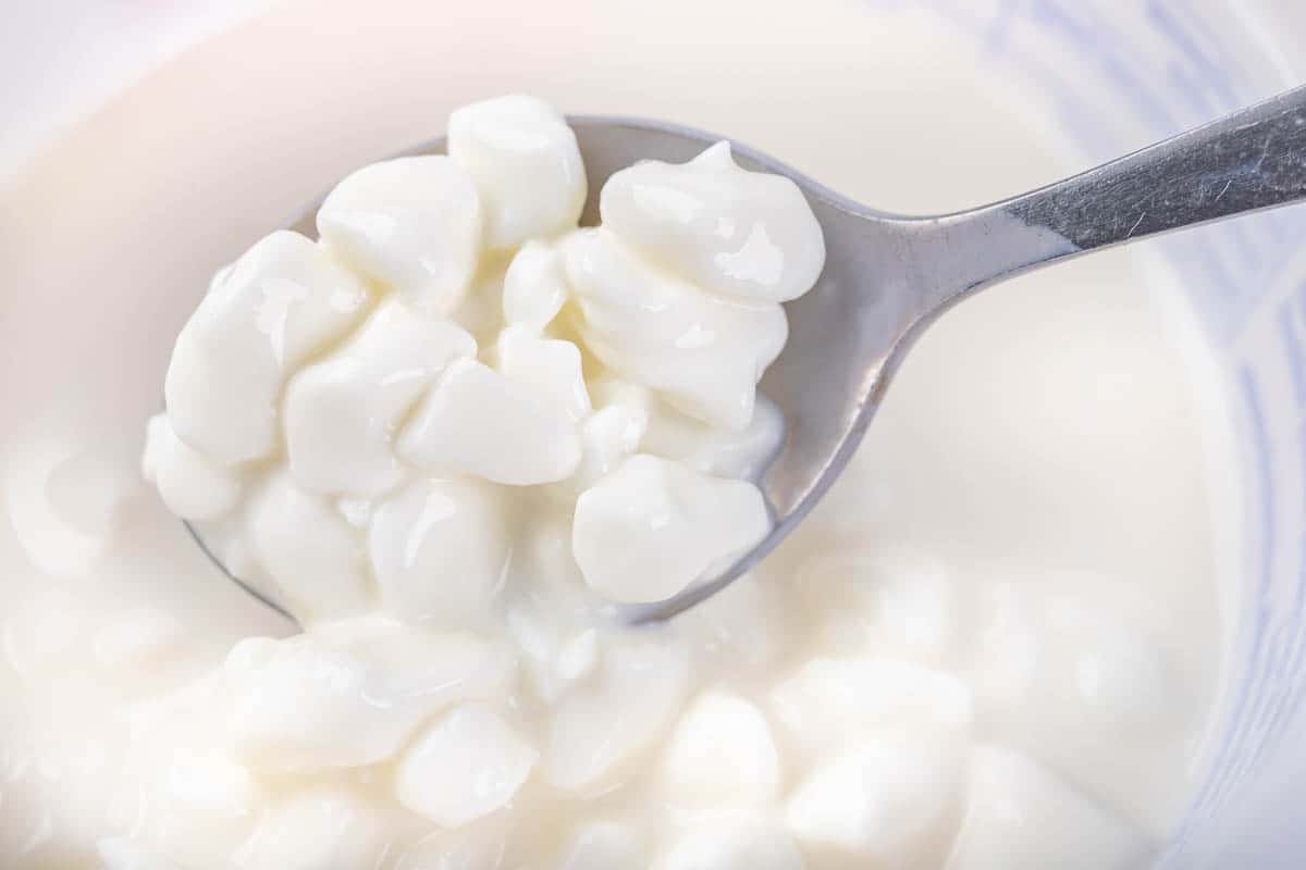 White cottage cheese on a teaspoon.