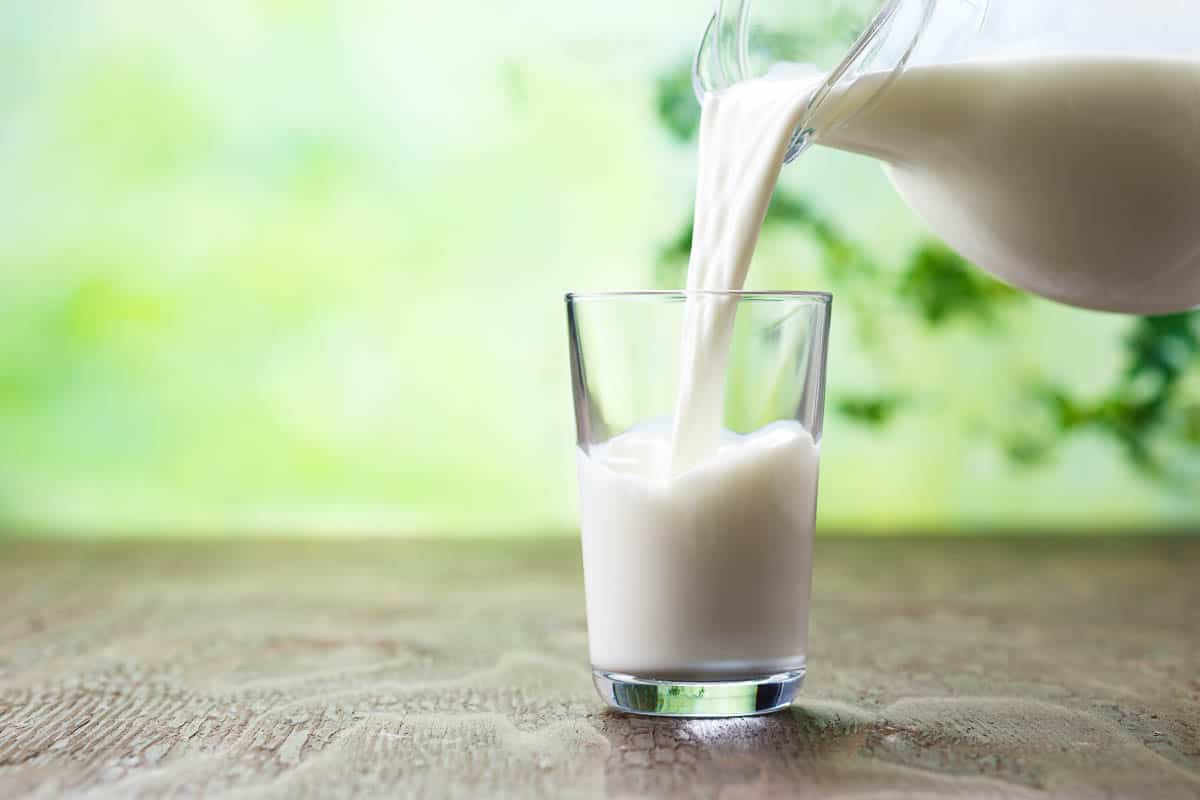 Pouring milk in the glass on the background of nature.