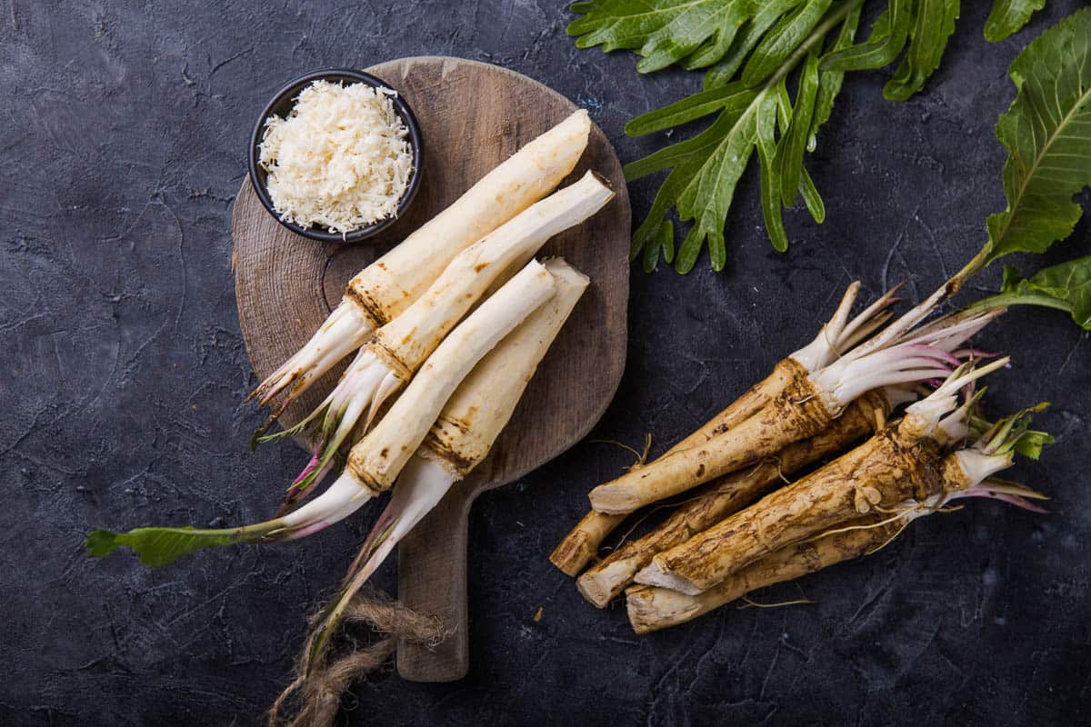 grated fresh horseradish