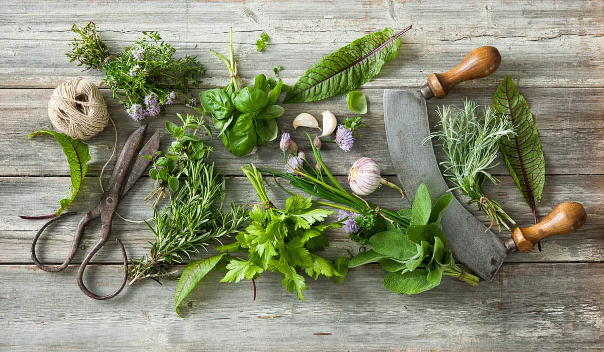 fresh kitchen herbs and spices on wooden table.