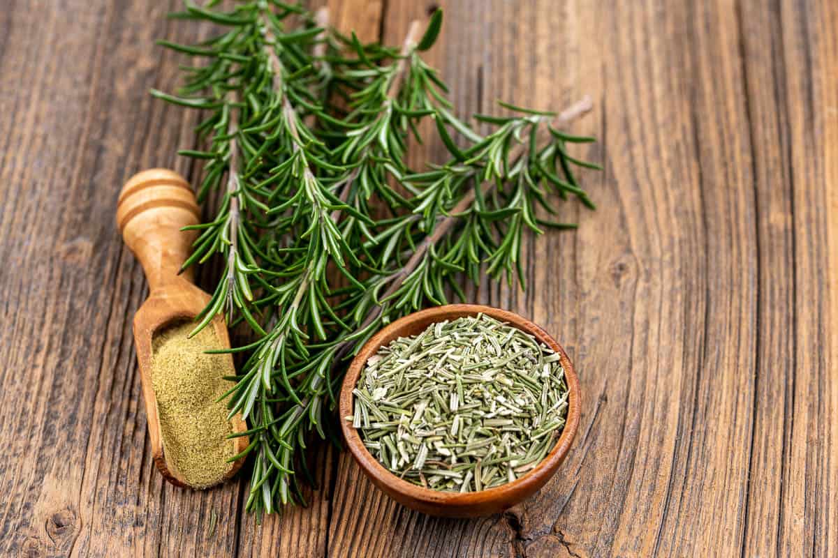 A wooden bowl filled with whole dried rosmary, a spice shovel with ground rosemary and two rosemary twigs on a rustic wooden background.