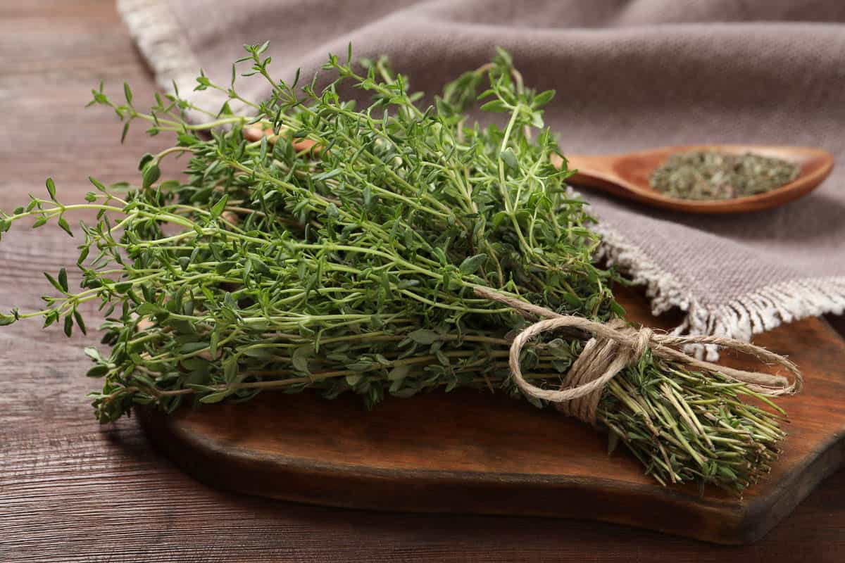 Bunch of aromatic thyme on wooden table.