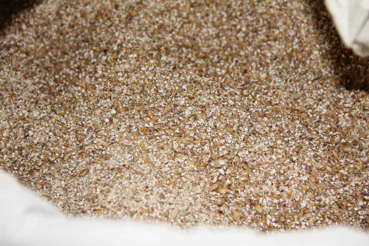 crushed barley