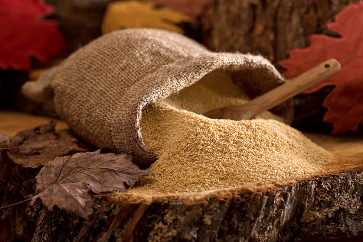 A burlap bag of delicious natural maple sugar in a maple forest setting.