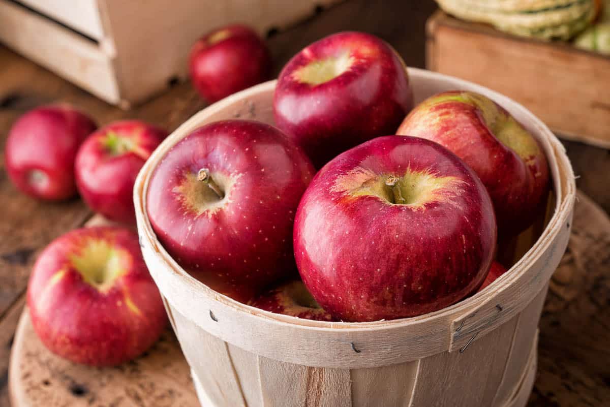 A five pound basket of freshly picked cortland apples at a farmer's market..