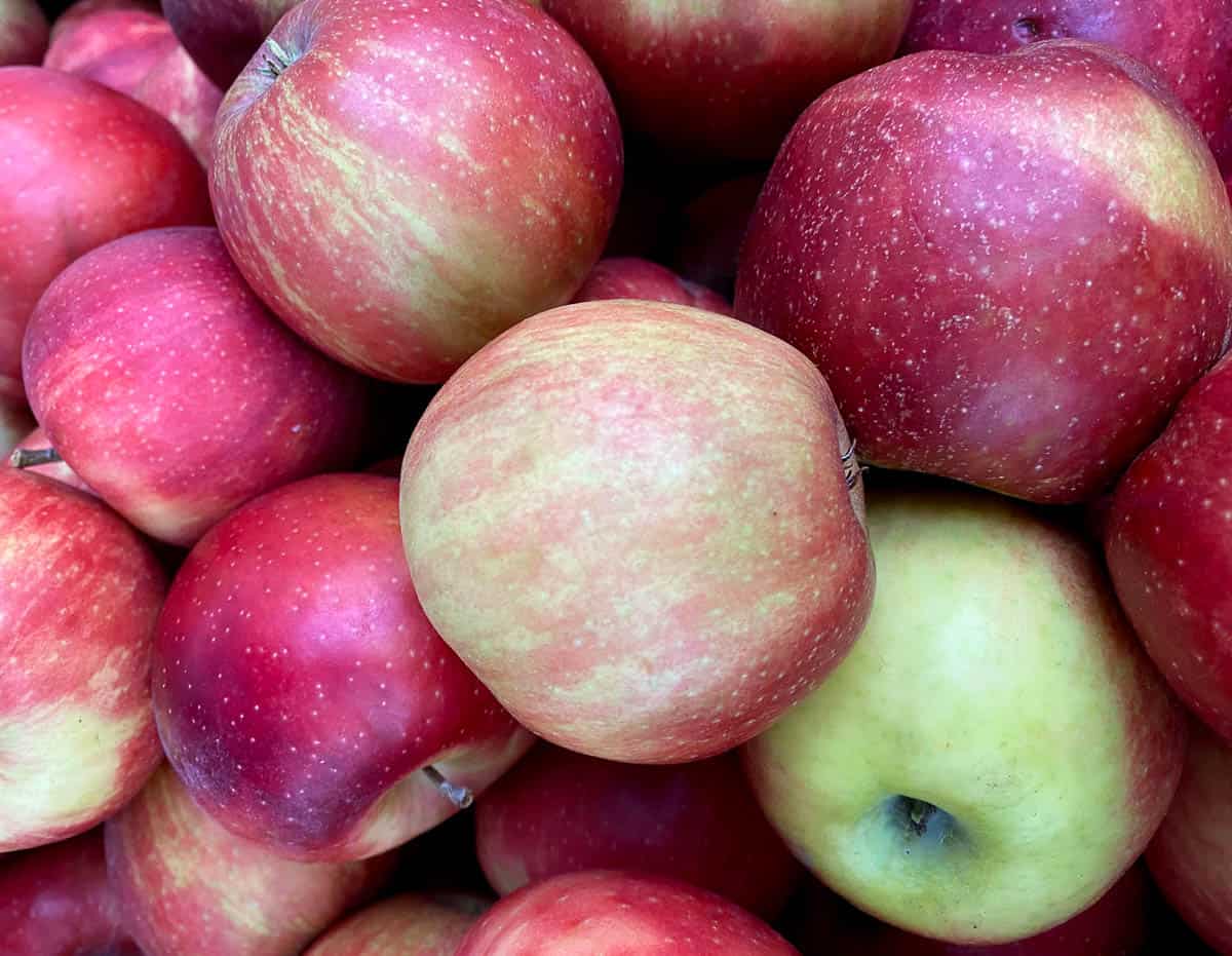 Fresh, organic jonathan apples at the market.