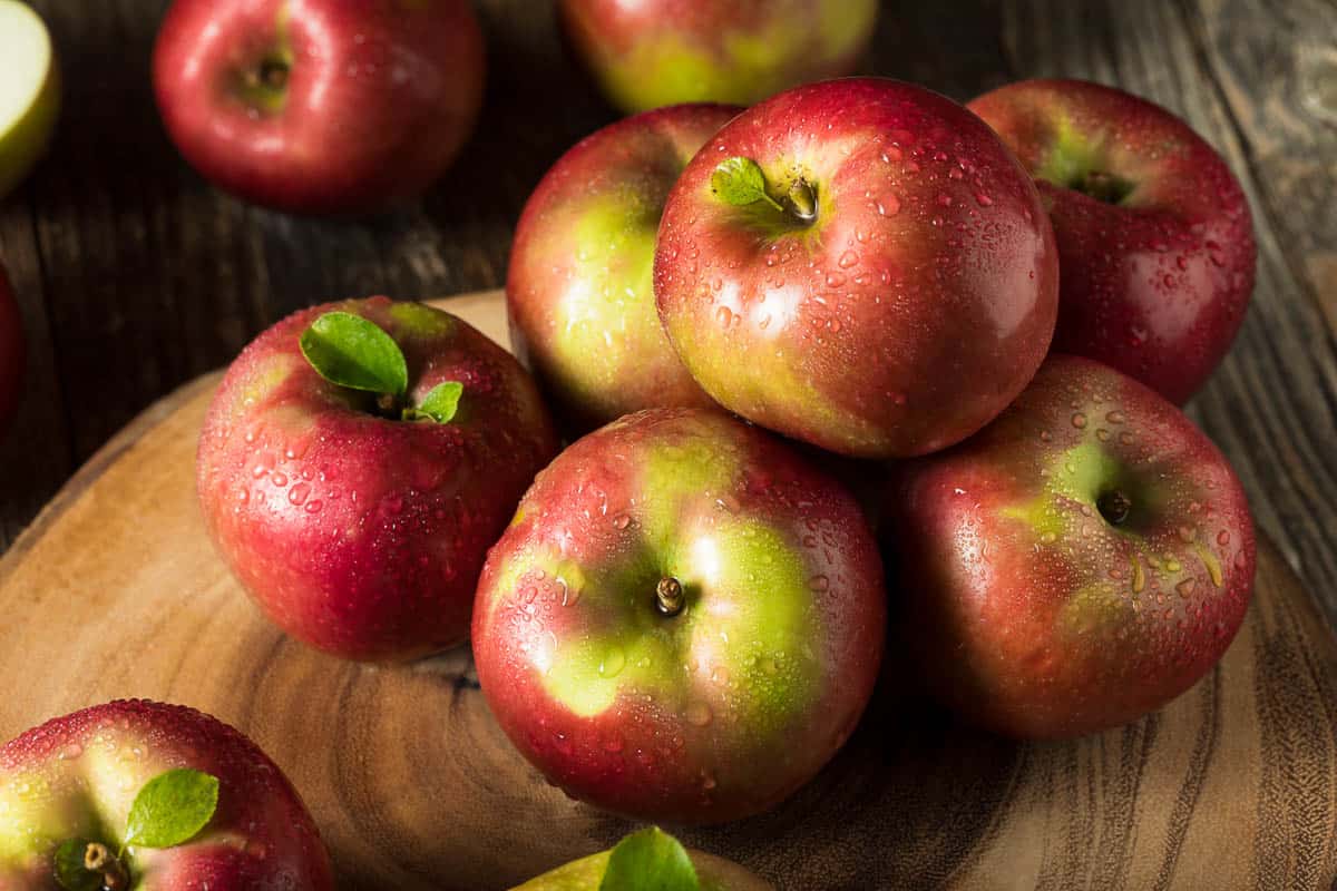 Raw Organic Red Mcintosh Apples Ready for Eating.