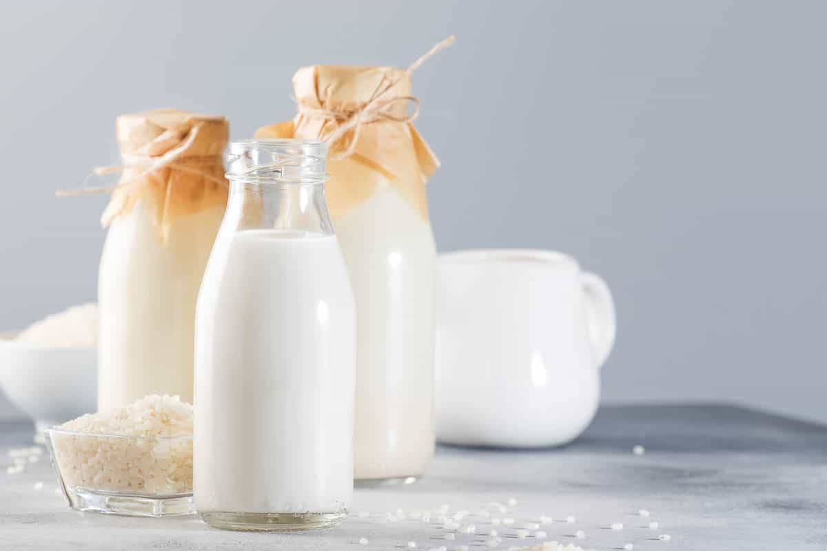 Vegan rice plant based milk in bottles, closeup, gray background. Non dairy alternative milk.