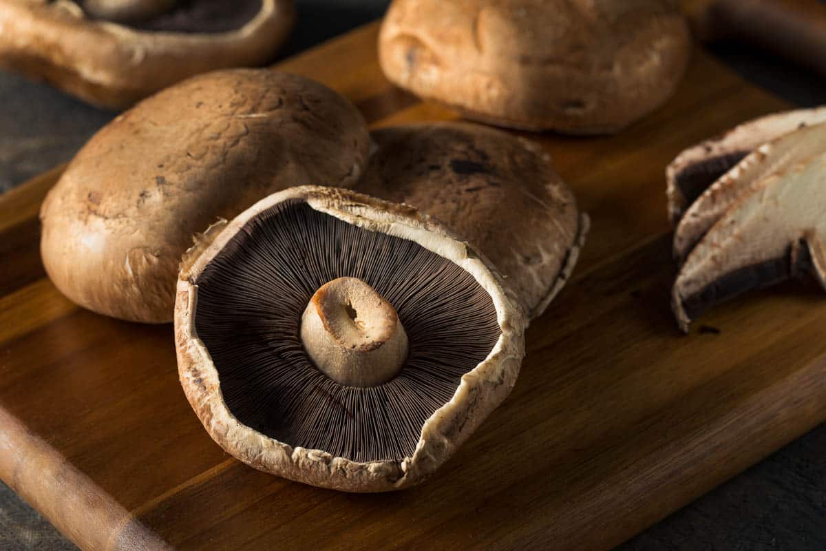 Healthy Organic Raw Portobello Mushroom Caps Ready to Eat.