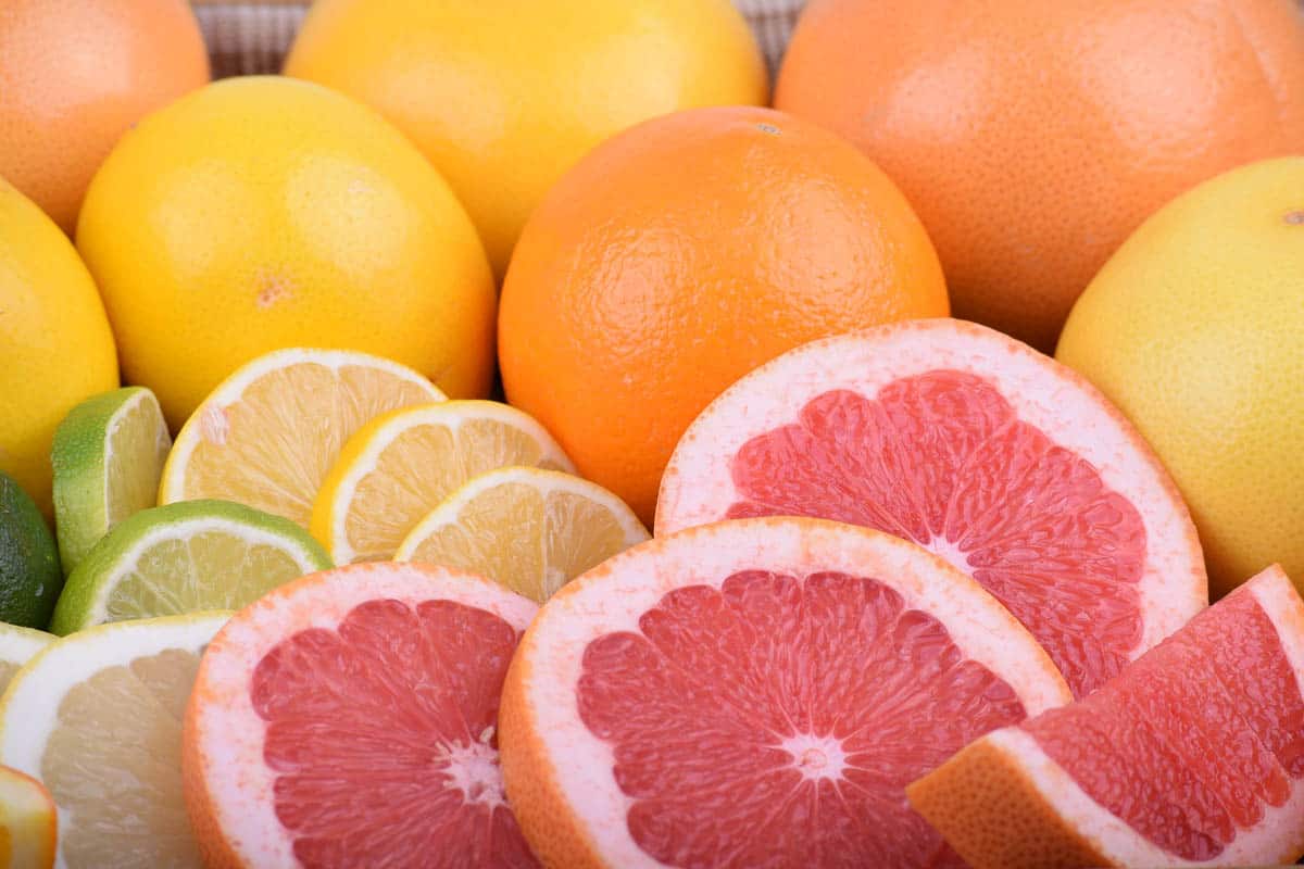 sliced grapefruit lemons limes oranges