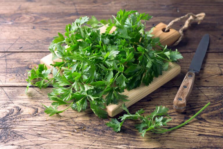 17 Best Parsley Substitutes (Fresh and Dried Options)