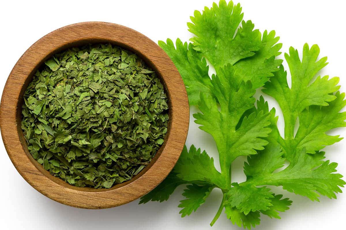 Dried chopped coriander leaves in a dark wood bowl next to fresh coriander leaves.