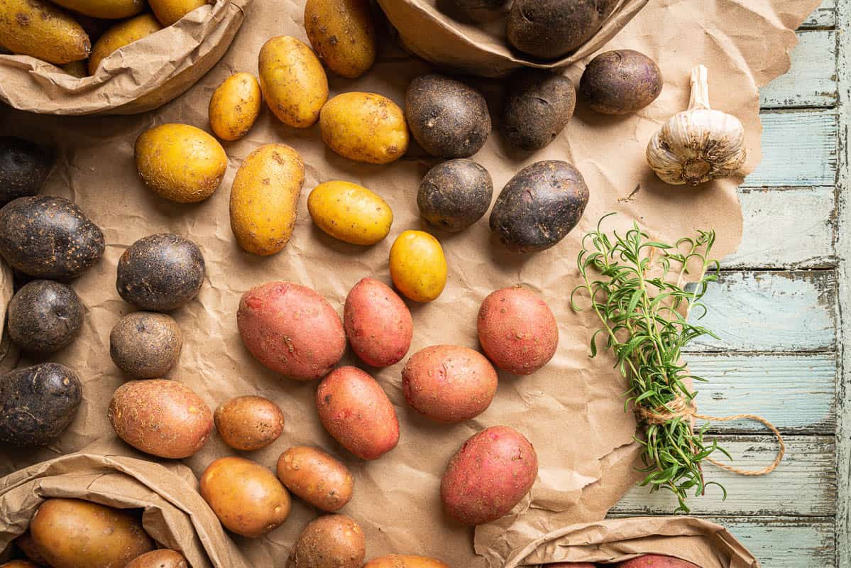 Various varieties of new colorful, white, red and purple potatoes in paper bags on white wooden background.