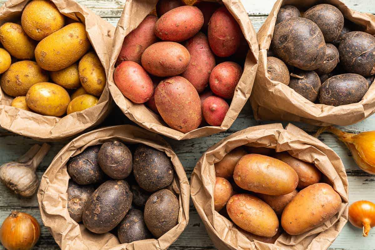 Various varieties of new raw colorful, white, red and purple potatoes in paper bags on white wooden background.