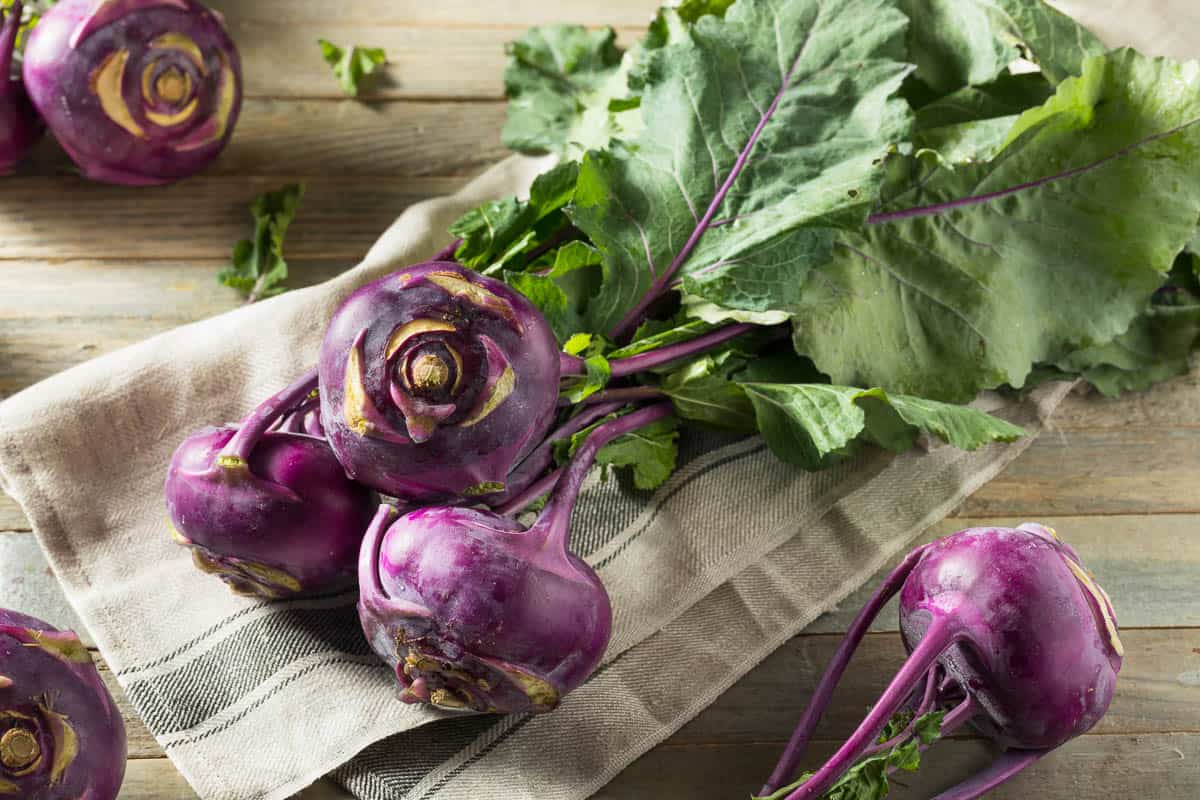 Raw Organic Purple Kohlrabi Ready to Eat.