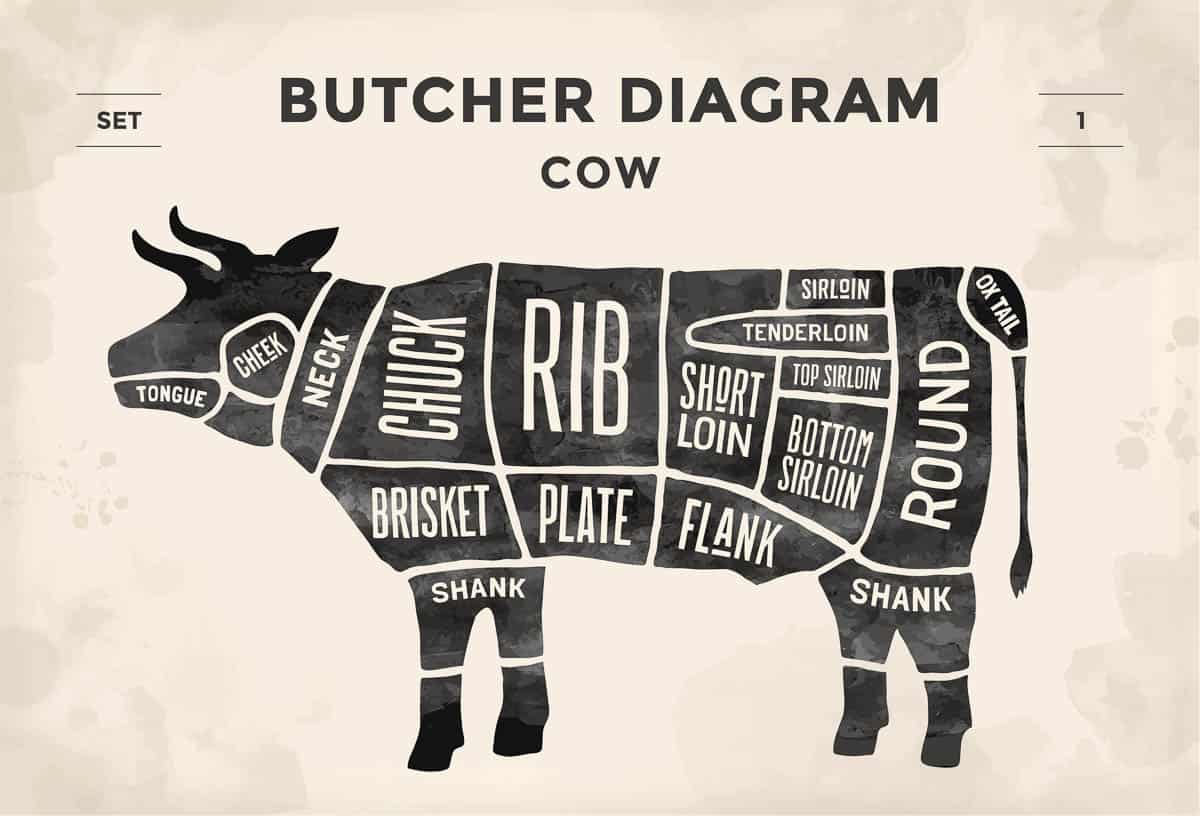 illustrated and labeled beef cut diagram.