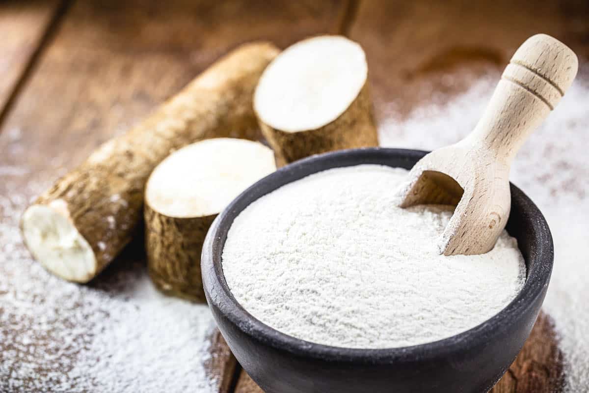 tapioca flour in bowl with raw cassava root on side.