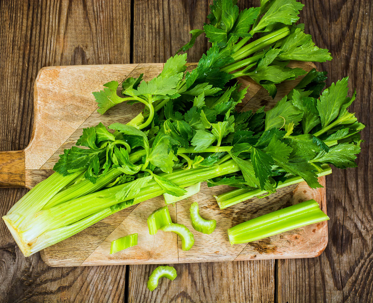 Bunch of fresh celery stalk with leaves.