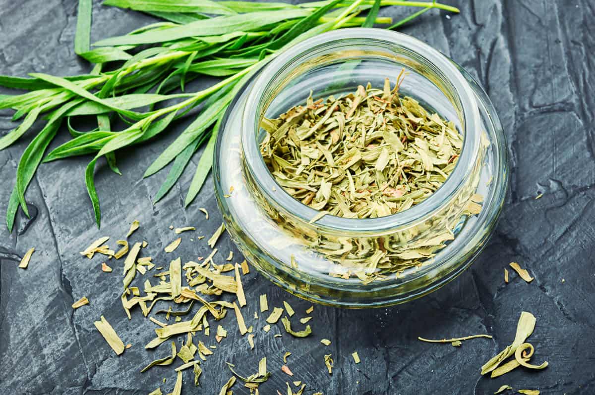 Fresh and dry tarragon herbs.