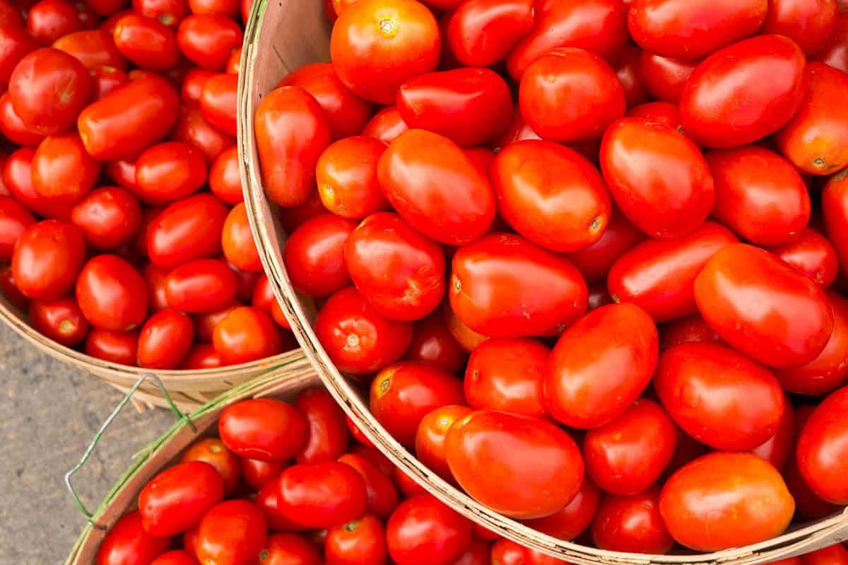 Many Roma tomatoes in baskets at the market.
