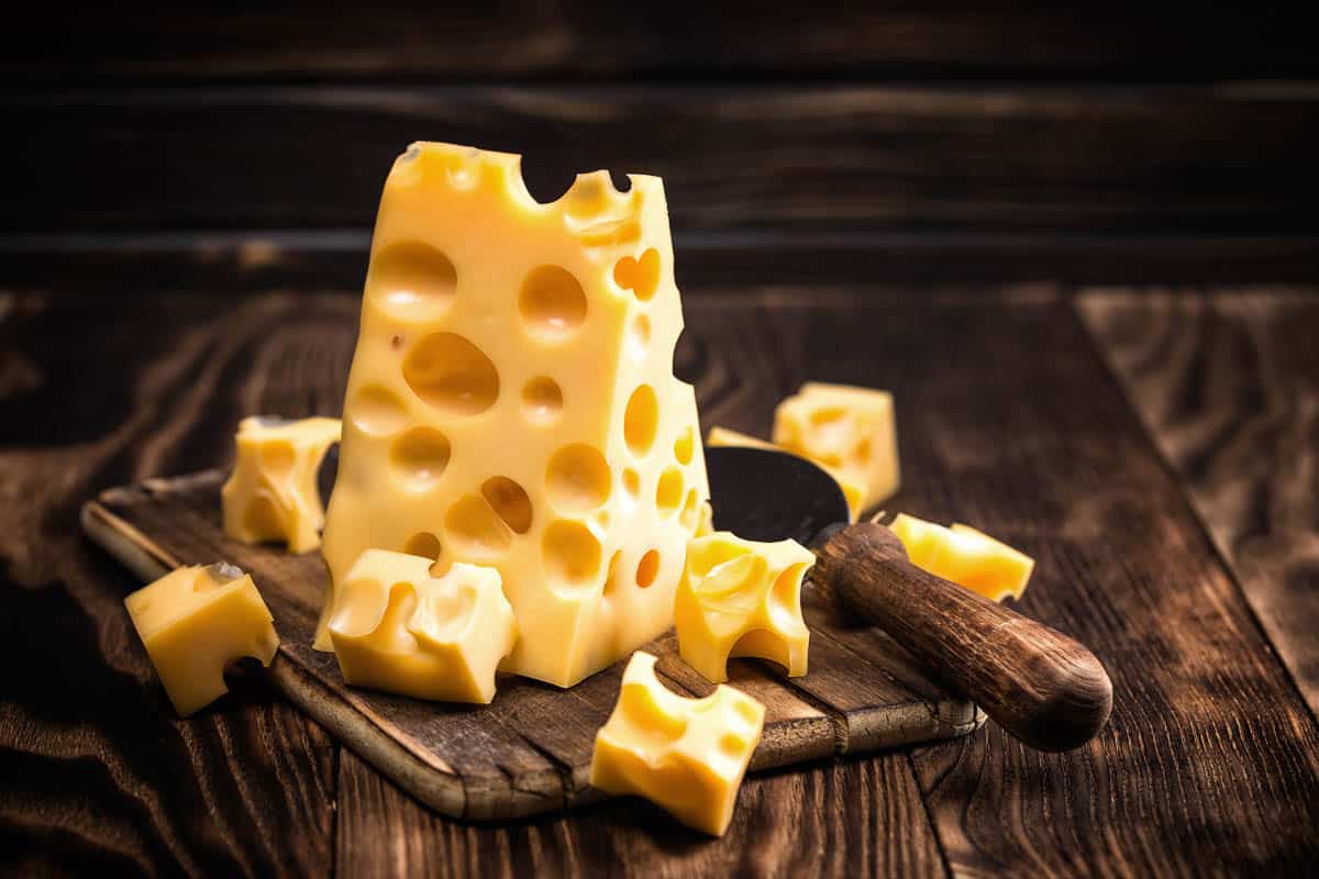 Emmentaler cheese with lots of holes.